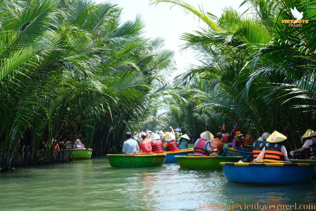 Central Vietnam Coconut Forest