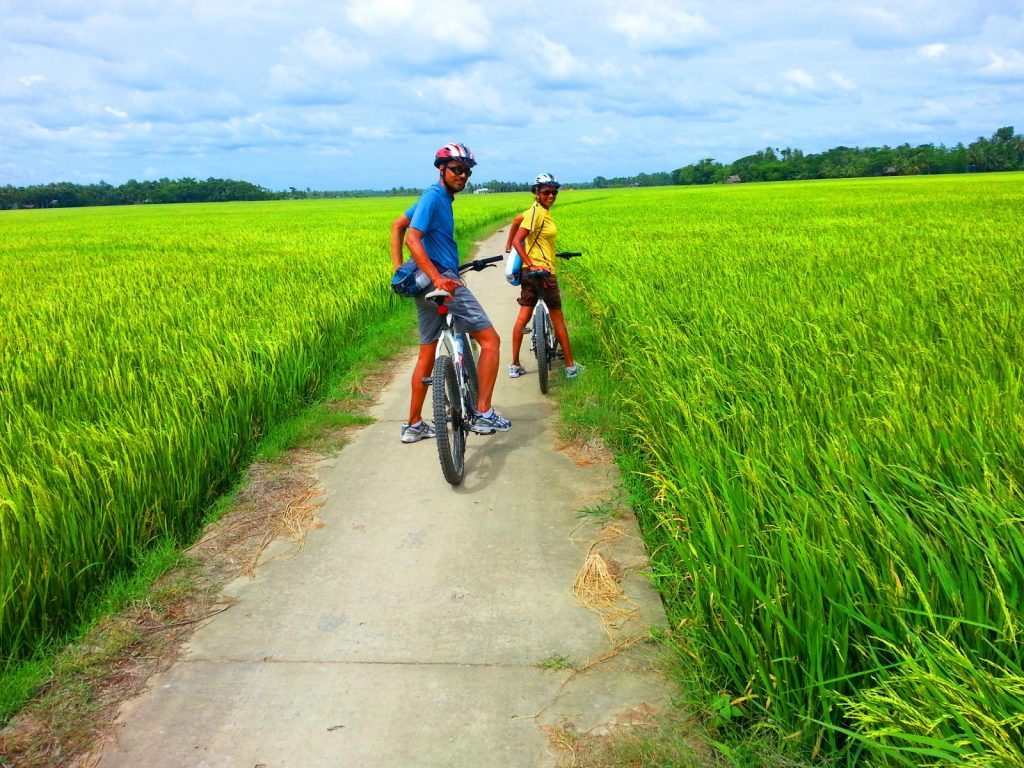 Cyclists exploring lush rice fields on an eco-friendly tour in Hoi An