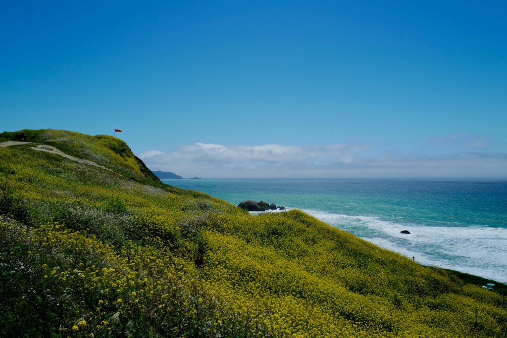 Wide-angle beach and grass hill