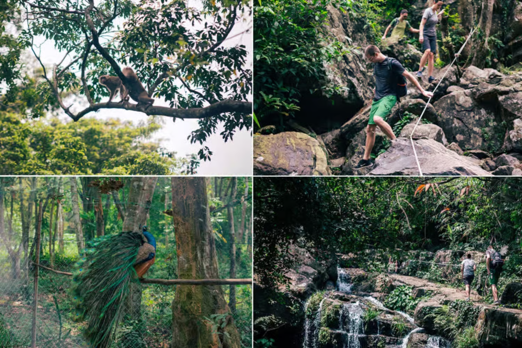 Forest trail in Phong Nha area